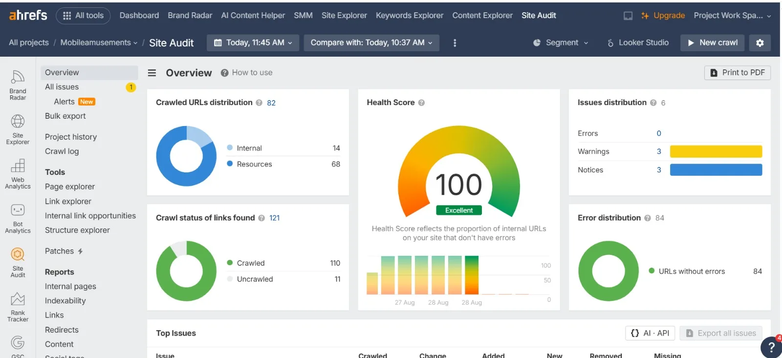 Ahrefs Site Audit overview showing a health score of 100